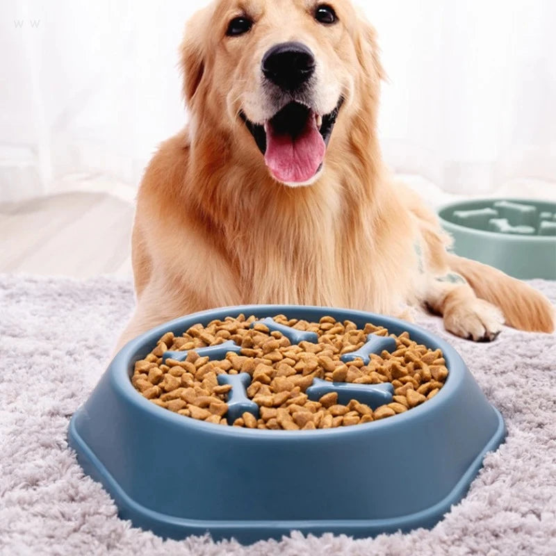 Ciotola Rallenta-Pappa per Cani CaniClever
