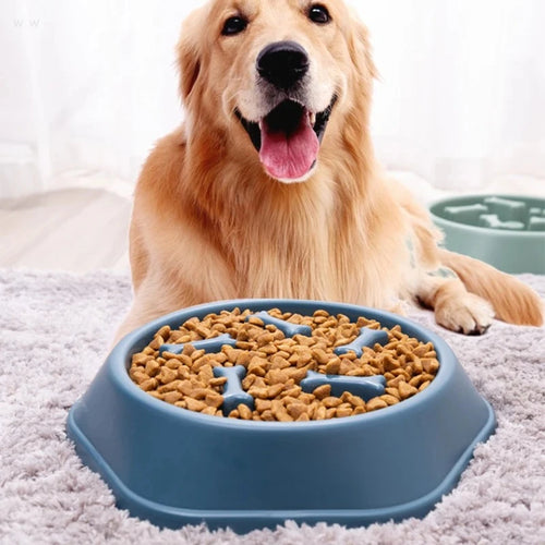 Ciotola Rallenta-Pappa per Cani CaniClever